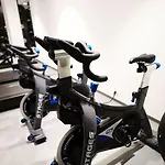 Scandic